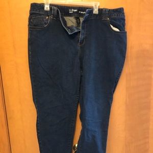 Lane Bryant Skinny Genius Fit. Size 24.